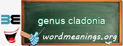 WordMeaning blackboard for genus cladonia